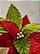 FLOR POINSETIA DECORATIVA VERMELHO E VERDE 20CM - Imagem 7