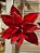 FLOR POINSETIA DECORATIVA VERMELHO 20CM - PRÉ VENDA 2025 - Imagem 4