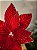 FLOR POINSETIA DECORATIVA VERMELHO 20CM - Imagem 4