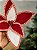 FLOR POINSETIA DECORATIVA VERMELHO E BRANCO 20CM - Imagem 4