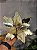 FLOR POINSETIA DECORATIVA CHAMPANHE E OURO 25CM - Imagem 3