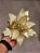 FLOR POINSETIA DECORATIVA CHAMPANHE E OURO 25CM - PRÉ VENDA 2025 - Imagem 4