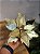 FLOR POINSETIA DECORATIVA CHAMPANHE E OURO 25CM - Imagem 1