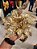 FLOR POINSETIA COM GLITTER OURO 27CM - PRÉ VENDA 2025 - Imagem 1
