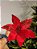 FLOR POINSETIA VELUDO VERMELHO 29CM - Imagem 1