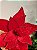 FLOR POINSETIA GLITTER VERMELHO 30CM - Imagem 3