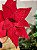 FLOR POINSETIA GLITTER VERMELHO 30CM - Imagem 6