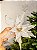 FLOR POINSETIA BRANCA COM GLITER OURO 30CM - Imagem 5