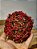 BOLA ARAMADA MICRO BERRY VERMELHA 10CM - Imagem 3