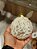 BOLA DECORADA BRANCA 10CM COM 3 UNIDADES - PRÉ VENDA 2025 - Imagem 2