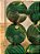 BOLA VELUDO RELEVO VERDE 8CM KIT COM 6 UNIDADES - Imagem 2