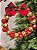 PENDENTE EM METAL GUIRLANDA DE GUIZOS DOURADO E VERMELHO 26CM - Imagem 3