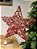 ESTRELA PONTEIRA ARAMADA MICRO BERRY VERMELHA 40CM - Imagem 6
