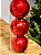 BOLA DECORADA VERMELHA PEROLADA 10CM COM 6 UNIDADES - Imagem 3