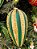 CONJUNTO DE PENDENTE ORNAMENTO DE VIDRO VERDE E DOURADO COM 2 UNIDADES 21CM - PRÉ VENDA 2025 - Imagem 3