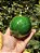 BOLA DECORADA MISTA VERDE 10CM COM 2 UNIDADES - Imagem 3