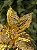 FLOR BICO DE PAPAGAIO POINSETIA GLITTER DOURADO 43,5CM - Imagem 4