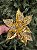 FLOR BICO DE PAPAGAIO POINSETIA GLITTER DOURADO 43,5CM - Imagem 5