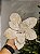 FLOR BICO DE PAPAGAIO AVELUDADO BRANCO OFF 25CM - Imagem 2