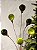 GALHO ARAMADO BOLINHAS VELUDO VERDE 65CM - Imagem 3