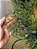GUIRLANDA REALISTA COM MINI PINHAS 40CM - Imagem 5