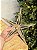 PENDENTE ORNAMENTO ESTRELA GLITTER DOURADA 29,4CM - Imagem 1