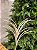 GALHO ARAMADO BRANCO COM GLITTER 60CM - Imagem 3
