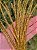 GALHO ARAMADO DOURADO COM GLITTER 60CM - Imagem 2