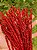 GALHO ARAMADO VERMELHO COM GLITTER 60CM - Imagem 3