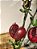 GALHO DECORATIVO COM ROMÃ 90CM - Imagem 4