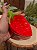 PETISQUEIRA MORANGO 15,5CM - Imagem 2