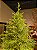 ÁRVORE PINHEIRO REALISTA PÁRIS 2,40CM 4506 GALHOS SUPER ILUMINADA 8200 LEDS WARM BIVOLT - Imagem 3