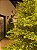 ÁRVORE PINHEIRO REALISTA PÁRIS 2,40CM 4506 GALHOS SUPER ILUMINADA 8200 LEDS WARM BIVOLT - Imagem 16