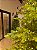 ÁRVORE PINHEIRO REALISTA PÁRIS 2,40CM 4506 GALHOS SUPER ILUMINADA 8200 LEDS WARM BIVOLT - Imagem 14