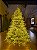 ÁRVORE PINHEIRO REALISTA PÁRIS 2,40CM 4506 GALHOS SUPER ILUMINADA 8200 LEDS WARM BIVOLT - Imagem 7