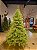 ÁRVORE PINHEIRO REALISTA PÁRIS 2,40CM 4506 GALHOS SUPER ILUMINADA 8200 LEDS WARM BIVOLT - Imagem 18