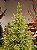 ÁRVORE PINHEIRO REALISTA PÁRIS 2,10CM 3002 GALHOS SUPER ILUMINADA 7000 LEDS WARM BIVOLT - Imagem 3