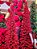 ÁRVORE PINHEIRO SLIM VERMELHO FLORINA 1,80CM 335 GALHOS COM LEDS WARM - PRÉ VENDA 2026 - Imagem 6
