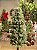 ÁRVORE PINHEIRO FOREST COM PINHAS 1,95CM 241 GALHOS - Imagem 2