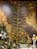 ÁRVORE DE FIO DE FADA 2,10CM 2700 LEDS WARM FIXO BIVOLT - PRÉ VENDA 2026 - Imagem 1