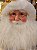 PAPAI NOEL EM PÉ LUXO VERDE E DOURADO 60CM - PRÉ VENDA 2026 - Imagem 5