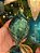 ORNAMENTO DE VIDRO VERDE 16CM - PRÉ VENDA 2026 - Imagem 3