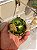 BOLA DE VIDRO VERDE COM DOURADO 8CM - PRÉ VENDA 2026 - Imagem 2