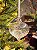 ORNAMENTO DE VIDRO TRANSPARENTE 8CM - Imagem 1
