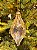 ORNAMENTO GOTA DE VIDRO TRANSPARENTE 6CM - Imagem 4