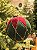 BOLA DE VIDRO VELUDO VERDE E VERMELHO 10CM - Imagem 4
