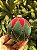 BOLA DE VIDRO VELUDO VERDE E VERMELHO 10CM - Imagem 3