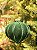 ORNAMENTO DE VIDRO VELUDO VERDE 9,5CM - Imagem 3