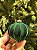 ORNAMENTO DE VIDRO VELUDO VERDE 9,5CM - Imagem 5
