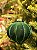 ORNAMENTO DE VIDRO VELUDO VERDE 9,5CM - Imagem 2
